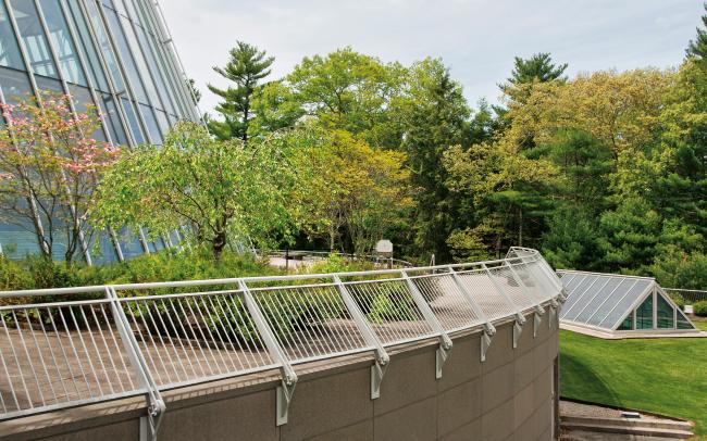 Terrace with trees and plant beds and view to the adjacent forest